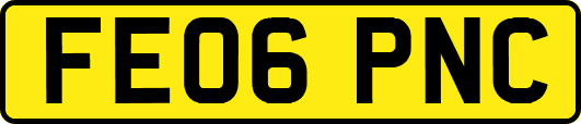 FE06PNC