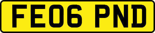 FE06PND