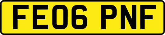 FE06PNF