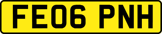 FE06PNH