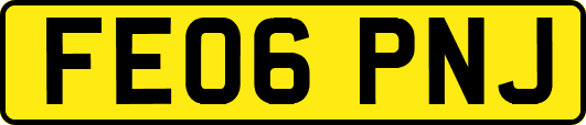 FE06PNJ