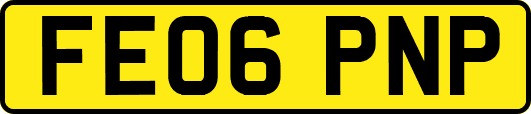 FE06PNP