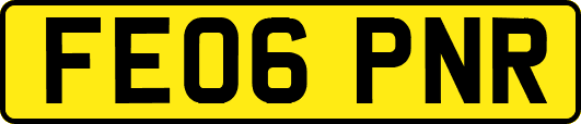 FE06PNR