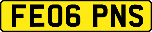 FE06PNS
