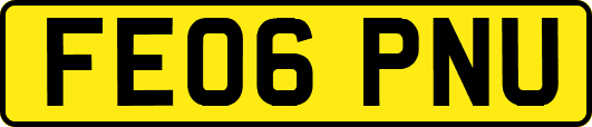 FE06PNU