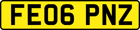 FE06PNZ