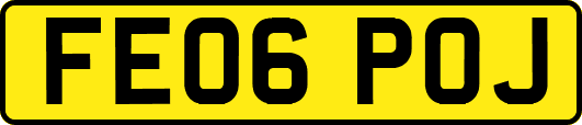 FE06POJ