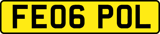 FE06POL