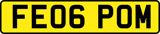 FE06POM