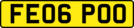 FE06POO
