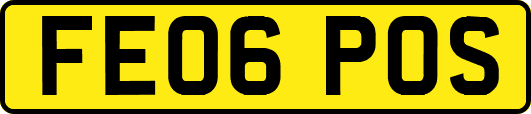 FE06POS