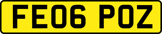 FE06POZ