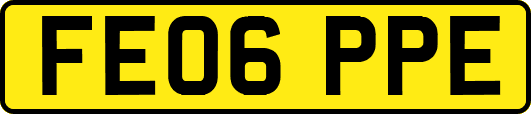 FE06PPE