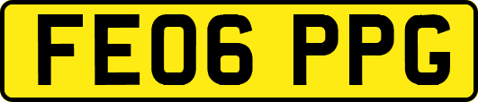 FE06PPG