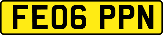 FE06PPN