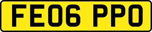 FE06PPO