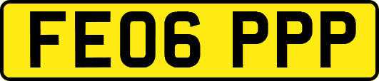 FE06PPP