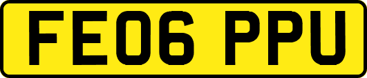 FE06PPU