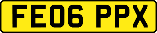 FE06PPX