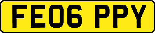 FE06PPY