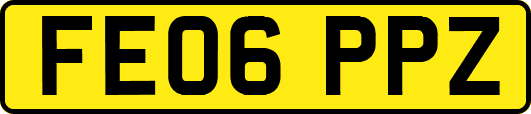 FE06PPZ