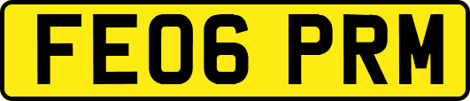 FE06PRM
