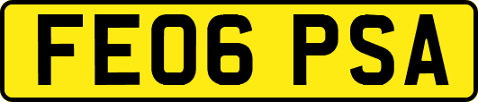 FE06PSA