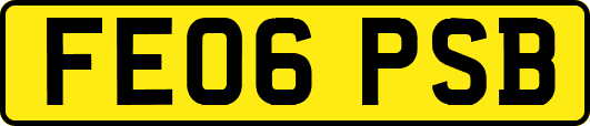 FE06PSB