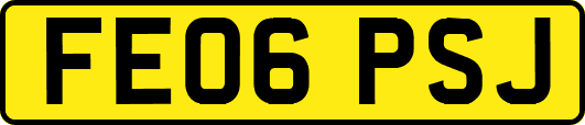 FE06PSJ