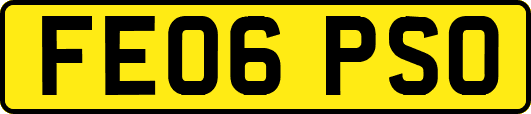 FE06PSO
