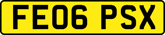 FE06PSX