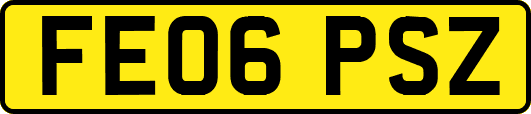 FE06PSZ
