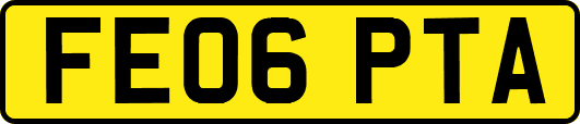 FE06PTA