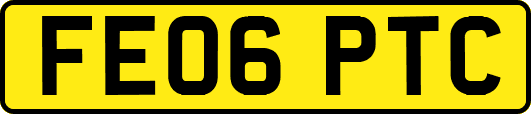FE06PTC