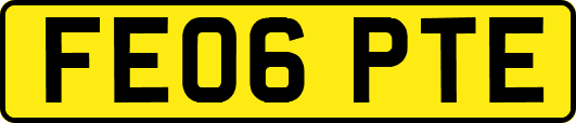 FE06PTE