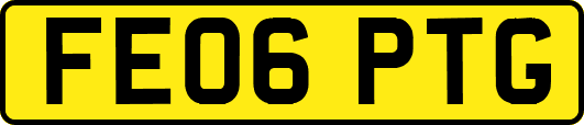 FE06PTG