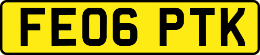 FE06PTK