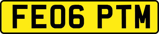 FE06PTM