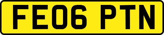 FE06PTN