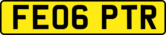 FE06PTR