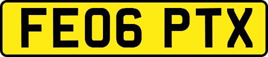FE06PTX