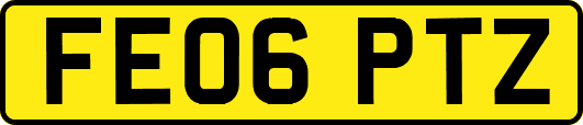 FE06PTZ