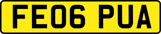 FE06PUA