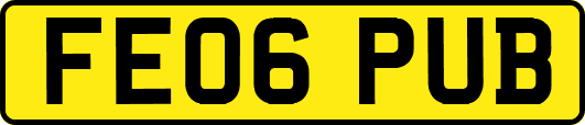 FE06PUB