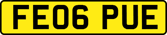 FE06PUE