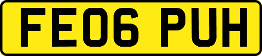 FE06PUH
