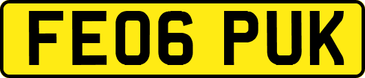 FE06PUK
