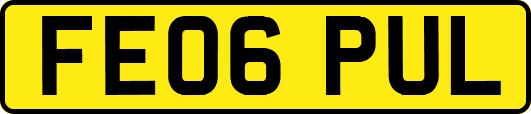 FE06PUL