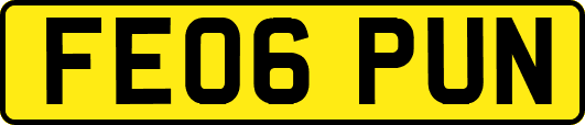 FE06PUN