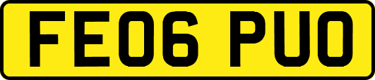 FE06PUO